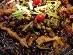 -老板恋上鱼(恒隆广场店)