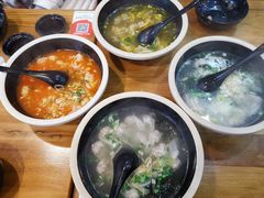 -都江堰中华大熊猫苑