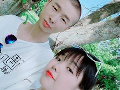 -万绿园