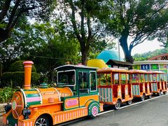 -东南花都花博园