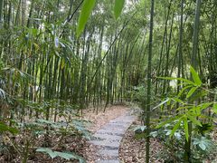 -苏州河梦清园环保主题公园