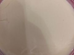 -老伴豆花(麦士威熟食中心店)