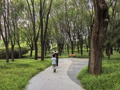 -大望京公园