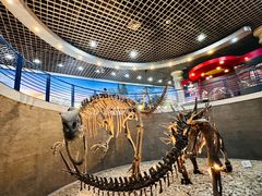 -国家自然博物馆