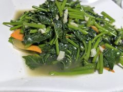 -史记安仁鱼头(浙闽赣食用菌交易中心店)