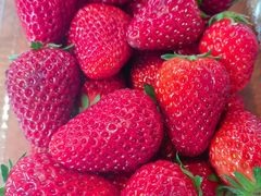 -辛庄国际文化艺术区