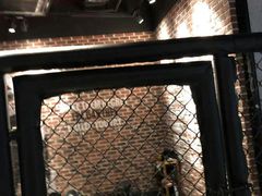 -威尔仕健身·游泳(KING88店)