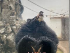 -广东茂名森林公园