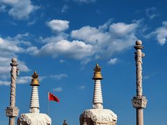 -大召无量寺