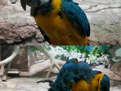 -福州罗源湾海洋世界旅游区