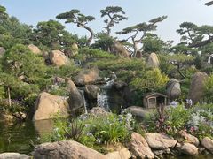 -罗红摄影艺术馆