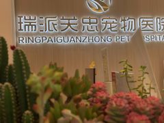 -瑞派·关忠动物医院·猫专科·犬专科(三环新城店)