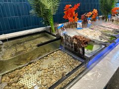 -伍棵煋炭烤自助料理·烤鳗鱼(浦东食品城店)