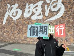 -汤旺河林海奇石景区