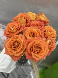 -Face Score美甲美睫皮肤管理