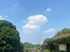 -中国茶叶博物馆(双峰馆区)