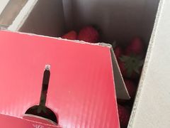 -小鱼草莓采摘园农家乐·小鱼餐厅