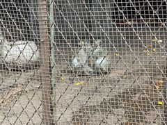 -昆明动物园