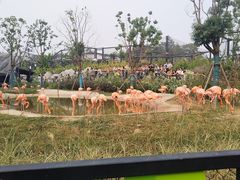 -武汉动物园