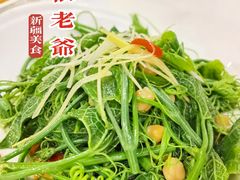 -巴依老爷新疆美食(工体旗舰店)