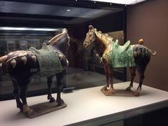 -西安大唐西市博物馆