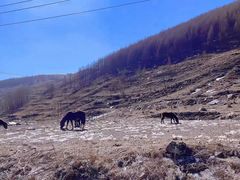 -云座·时光·观景咖啡厅(五爷庙店)