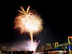 -台场海滨公园船码头