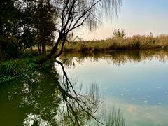 -同里国家湿地公园