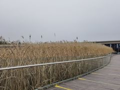 -西安浐灞国家湿地公园