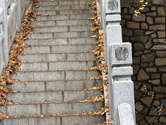 -泰山风景名胜区-普照寺