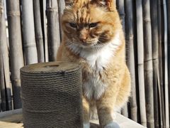 -小时光咖啡馆(开森度假森林店)