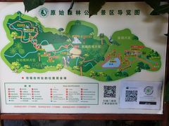 -西双版纳原始森林公园