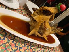糖醋黄金鲤鱼-城南往事·鲁菜济南菜(槐荫广场店)