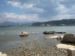 -洱海月湿地公园