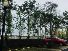 -上海浦江郊野公园-2号停车场