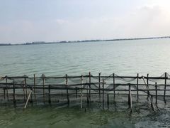 -漕湖湿地公园
