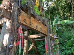 -西双版纳原始森林公园