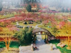 -秀丽东方