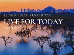 -北海金海湾红树林生态旅游区