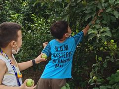 -万源龙顺度假庄园生态观光园