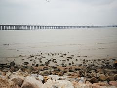 -宝安西湾红树林湿地公园