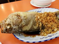-雅苑餐厅(朝天路店)