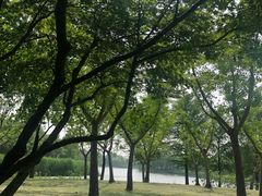 -尚贤河湿地