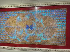 -上海昆虫博物馆