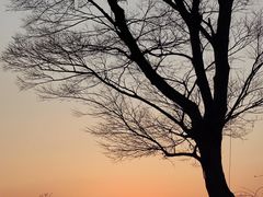 -滆湖低碳生态公园