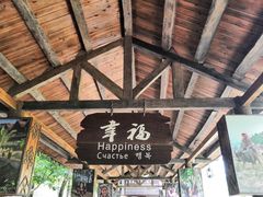 -呀诺达热带雨林