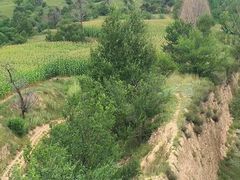 -杀虎口风景名胜区