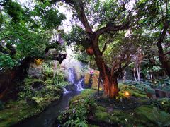 -Chom Cafe and Restaurant