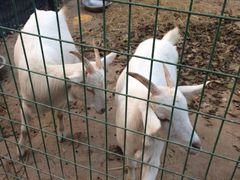 稻香湖景温泉会馆-湖景温泉