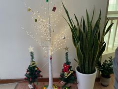 -7天酒店(上海江宁路地铁站玉佛寺店)